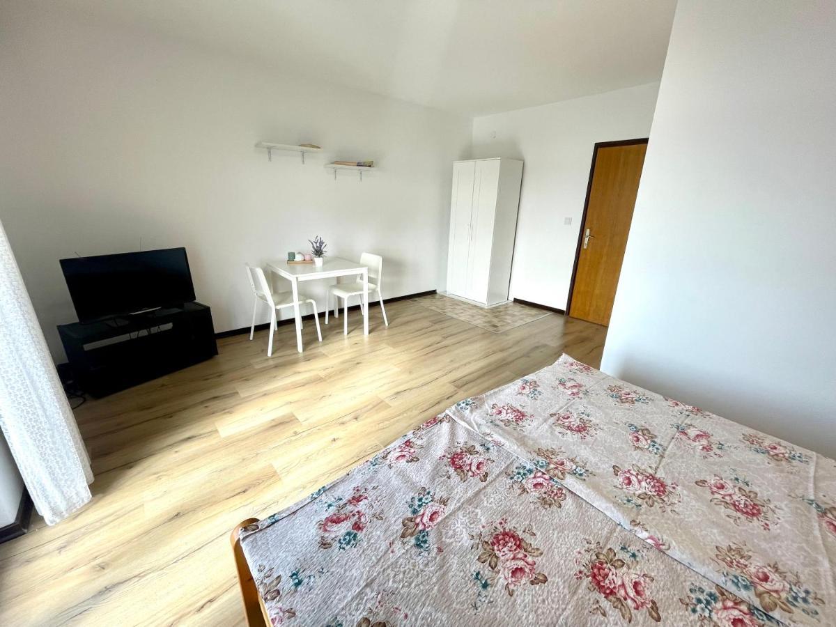 Apartments Ivana & Ante ドラマリ エクステリア 写真